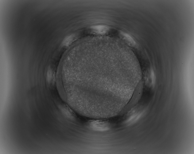 X0000086030568200704131915