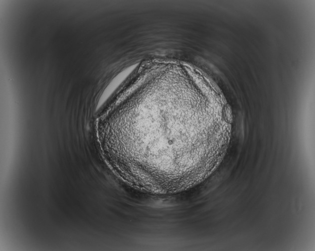 X0000086030569200704131915