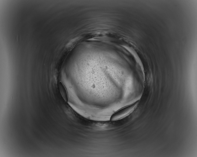 X0000086030570200704131915