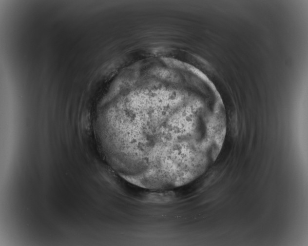 X0000086030571200704131915