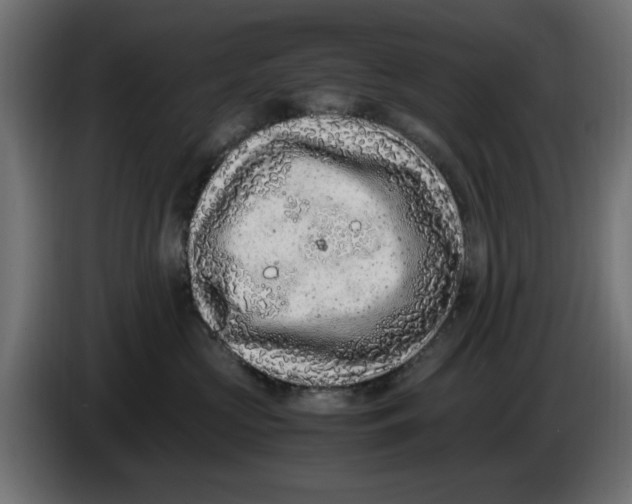 X0000086030573200704131915