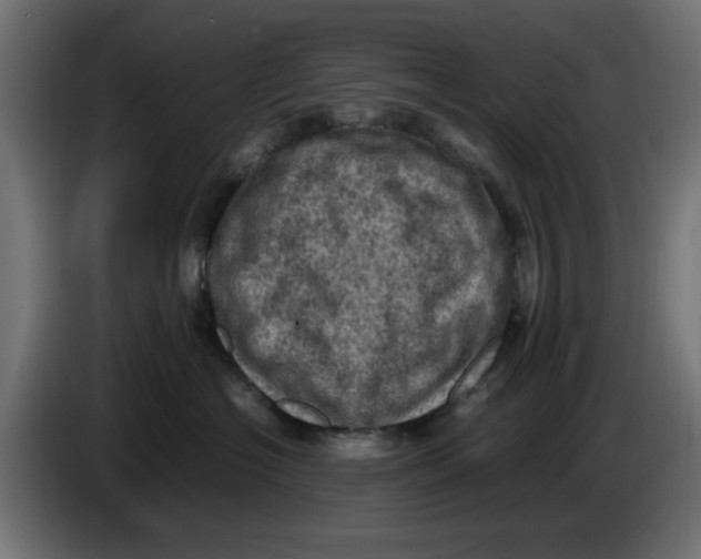 X0000086030574200704131915