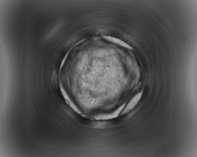 X0000086030575200704131915