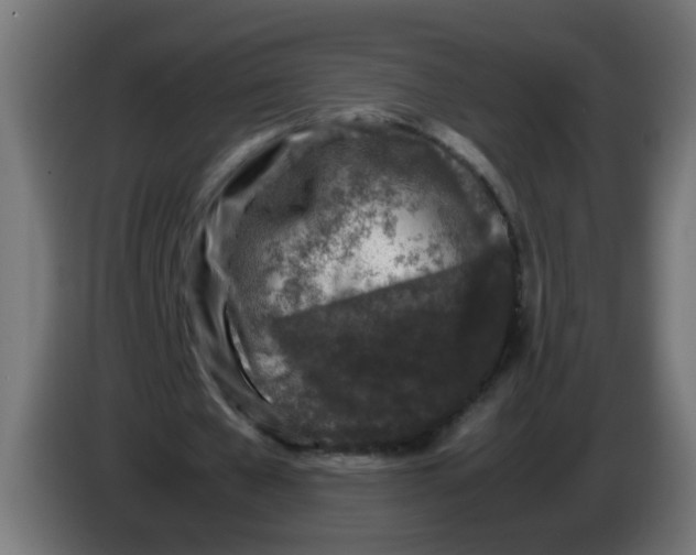 X0000086030577200704131914