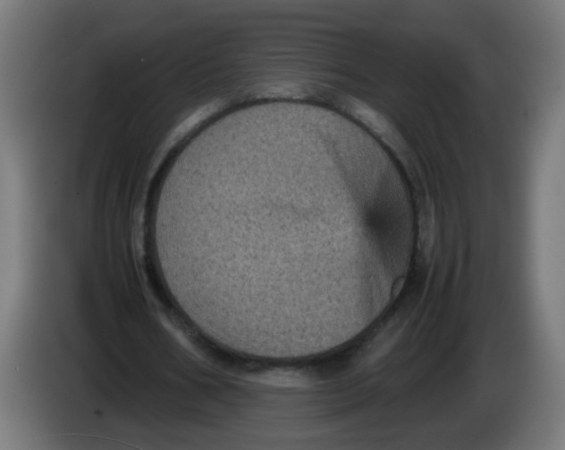 X0000086030578200704131914