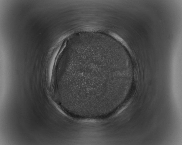 X0000086030581200704131914