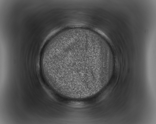 X0000086030582200704131914