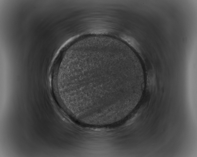 X0000086030584200704131914