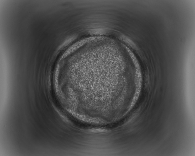 X0000086030586200704131914