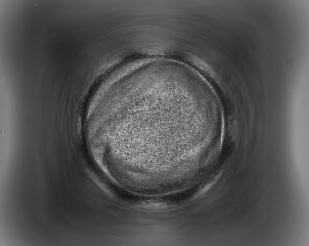 X0000086030589200704131914