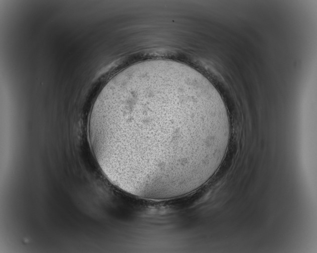 X0000086030591200704131914