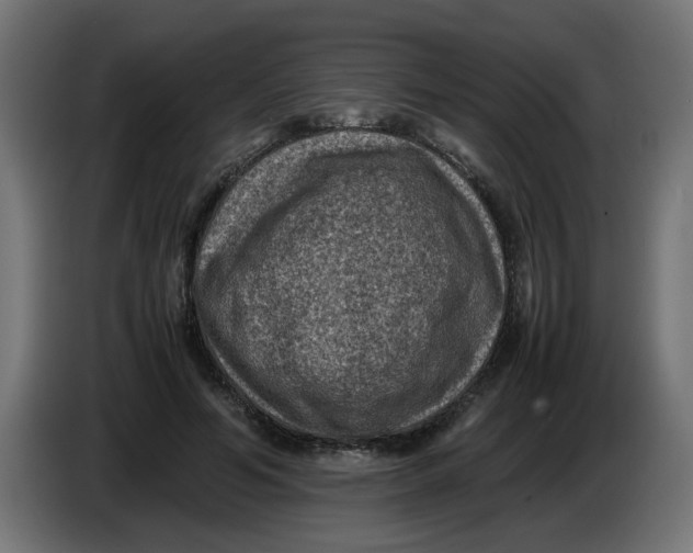 X0000086030594200704131914