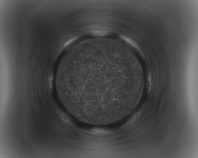 X0000086030596200704131914