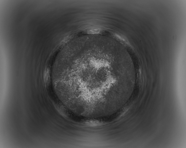 X0000086030598200704131914