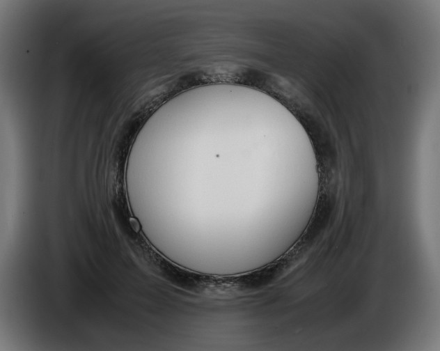 X0000086030599200704131914