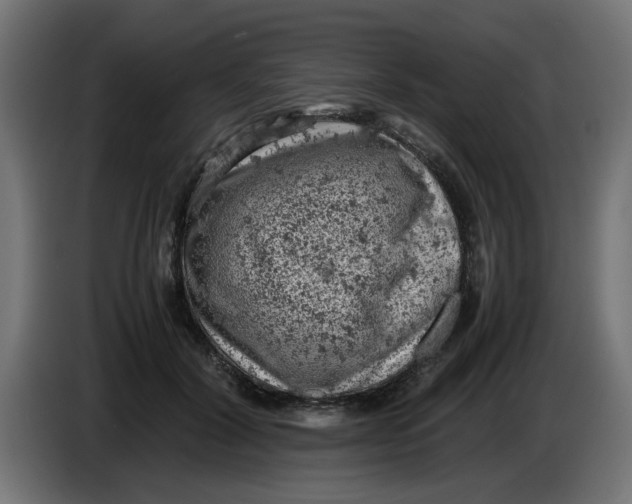 X0000086030604200704131914