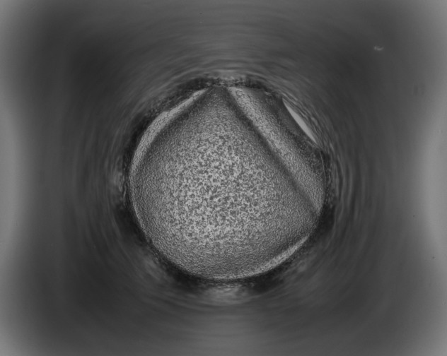 X0000086030609200704131914