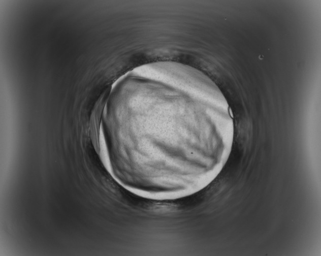 X0000086030617200704131914