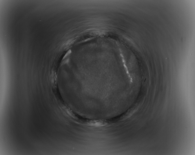 X0000086030624200704131914