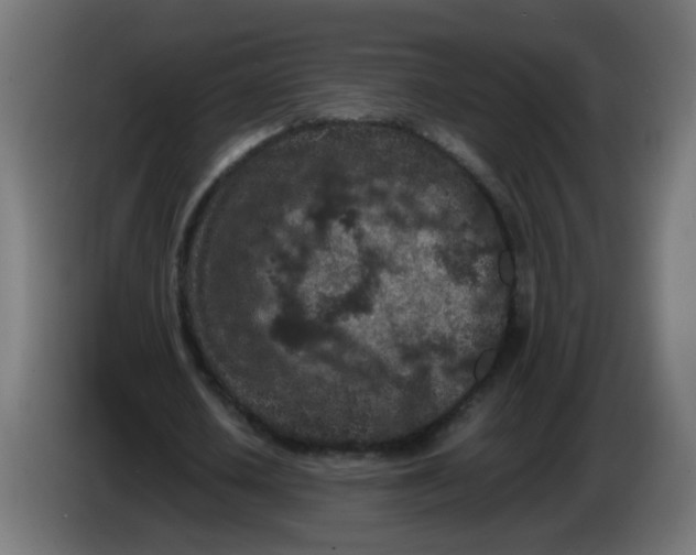 X0000086030626200704131913