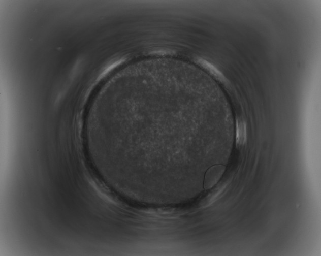 X0000086030627200704131913