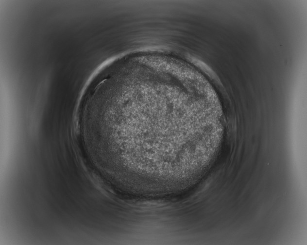 X0000086030628200704131913