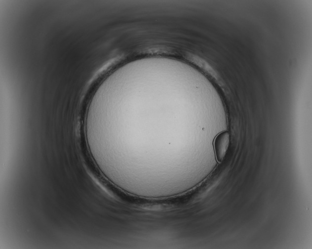 X0000086030629200704131913