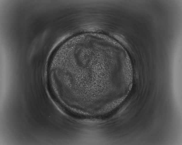 X0000086030630200704131913