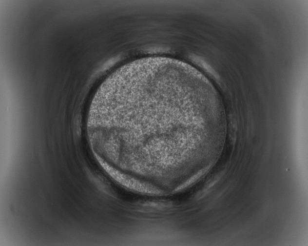 X0000086030631200704131913