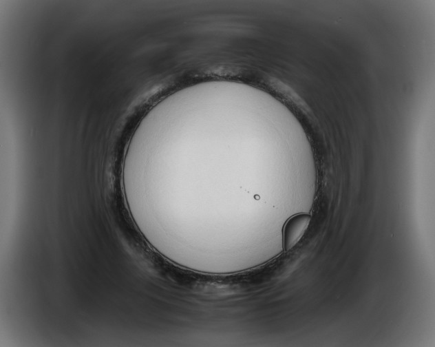 X0000086030635200704131913