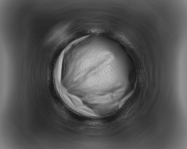 X0000086030639200704131913