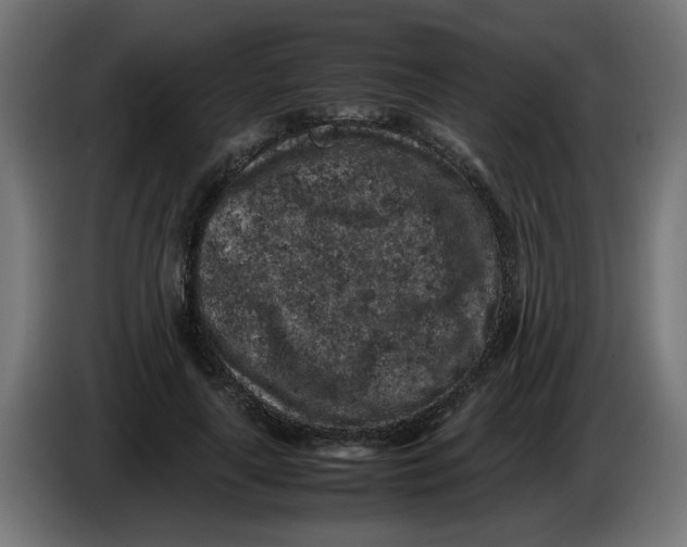 X0000086030643200704131913