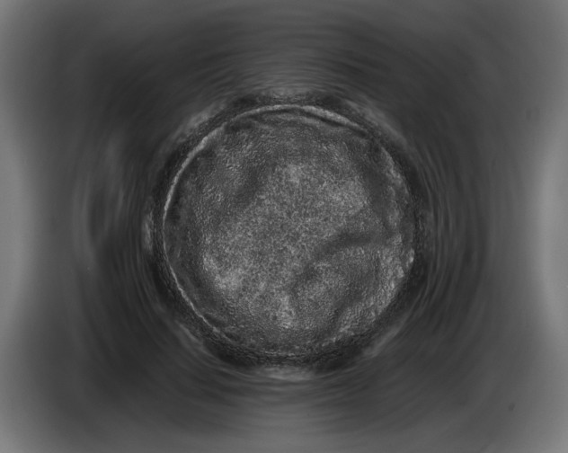 X0000086030644200704131913