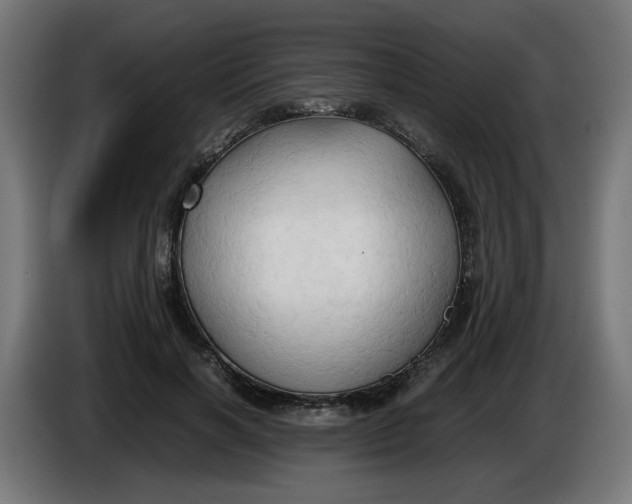 X0000086030646200704131913