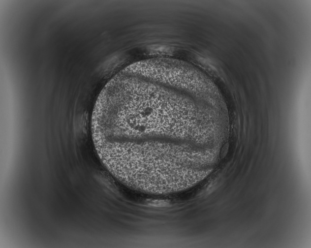 X0000086030649200704131913