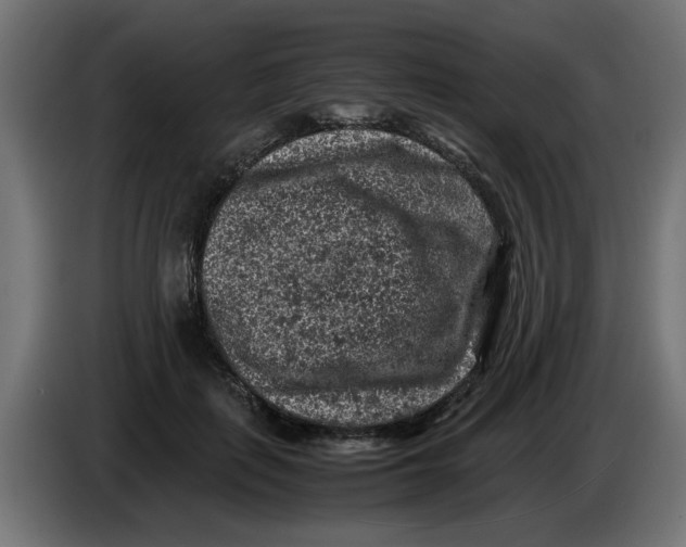 X0000086030651200704131913