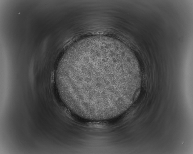 X0000086030652200704131913