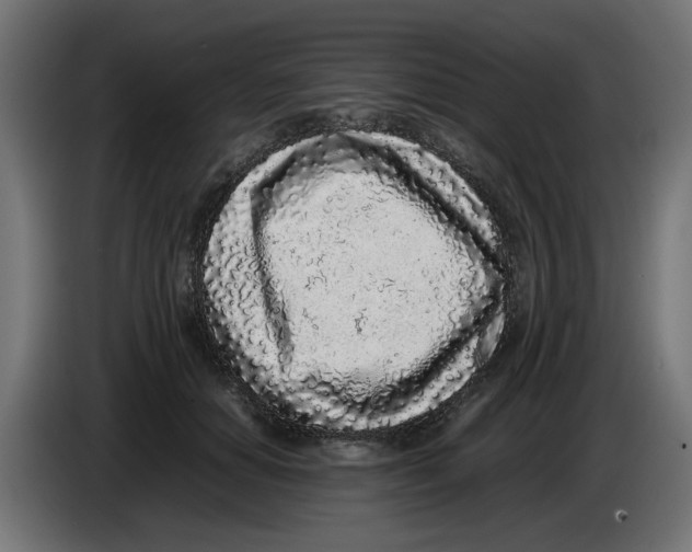 X0000086030654200704131913