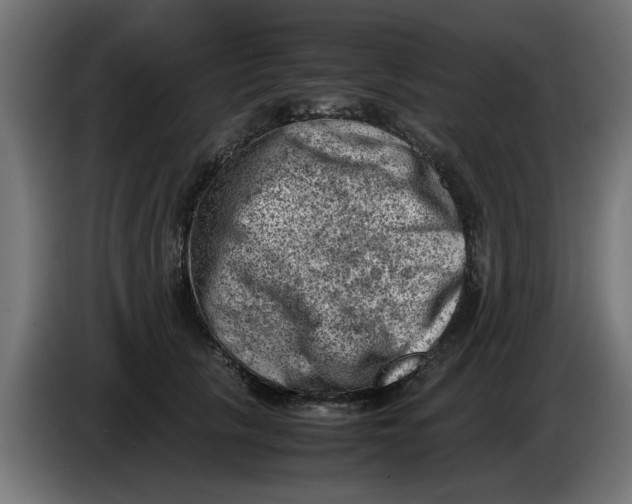 X0000086030657200704131914