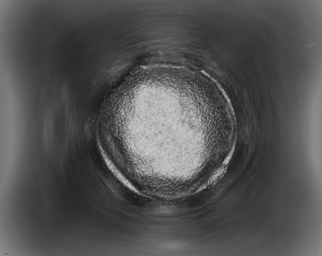 X0000086030658200704131914