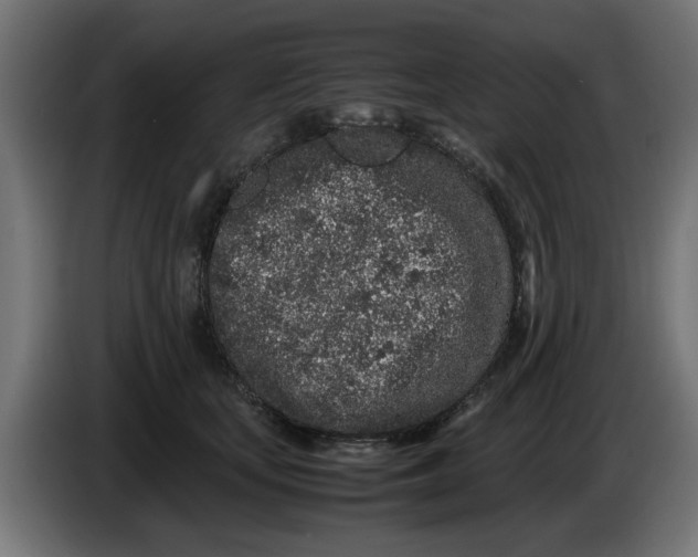 X0000086030659200704131914