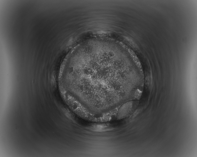 X0000086030662200704131914