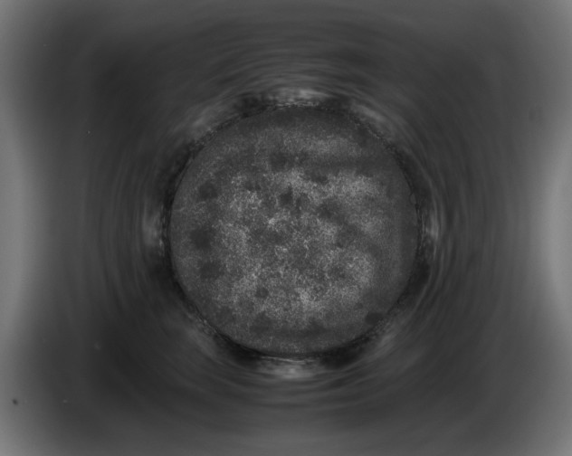 X0000086030663200704131914