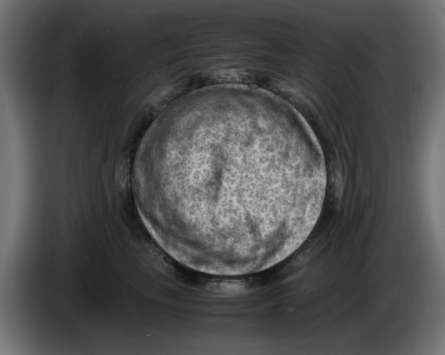 X0000086030665200704131914