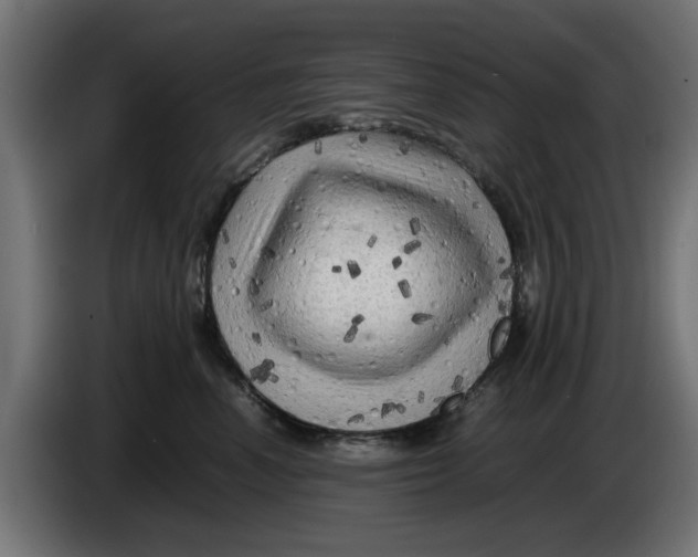 X0000086030666200704131914