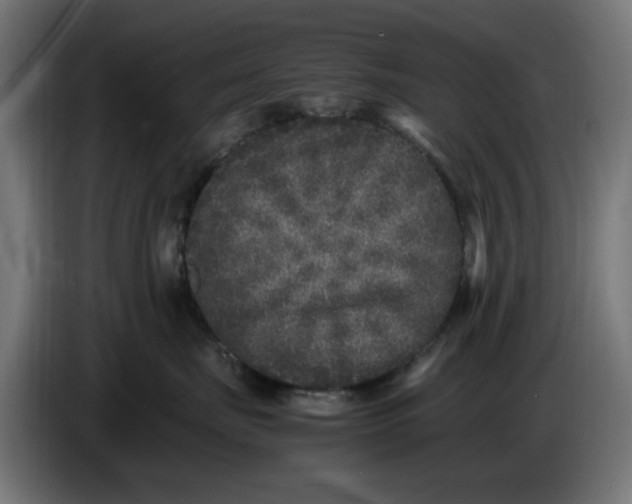 X0000086030671200704131914