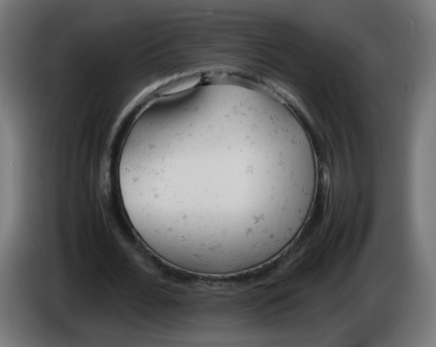 X0000086030676200704131913