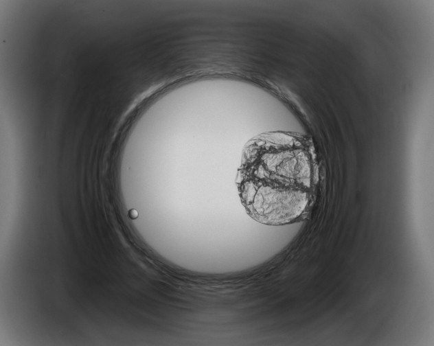 X0000086030684200704131913