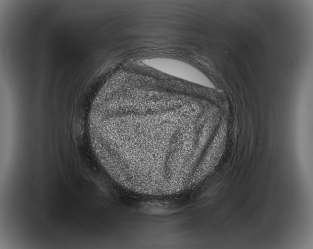 X0000086030691200704131913