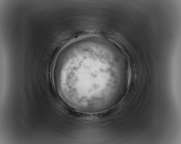 X0000086030696200704131913